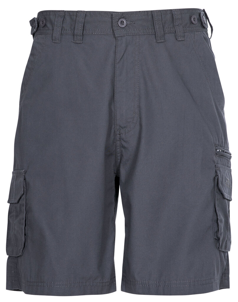 Meeste lühikesed püksid Gally Male Shorts TP75 MABTSHG10017-GRA.L hind ja info | Meeste lühikesed püksid | kaup24.ee