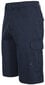 Meeste lühikesed püksid Rawson Male Shorts MABTSHN10003-NA1.XL hind ja info | Meeste lühikesed püksid | kaup24.ee