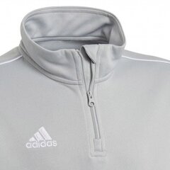 Poiste dressipluus Adidas Core 18 TR Top Junior CV4142, hall цена и информация | Свитеры, жилетки, пиджаки для мальчиков | kaup24.ee