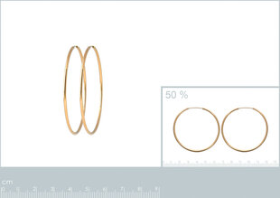 750° kullaga kaetud kõrvarõngad, 50 mm, toodetud Prantsusmaal hind ja info | Kõrvarõngad | kaup24.ee