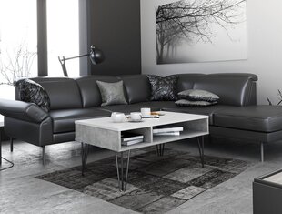 Журнальный столик Locco loft beton, серый /белый цена и информация | Журнальные столики | kaup24.ee
