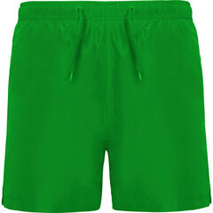 Мужские шорты для купания, зеленые цена и информация | Плавки, плавательные шорты | kaup24.ee
