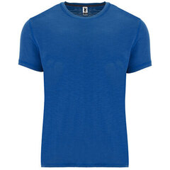 Lühikeste varrukatega T-särk, sinine hind ja info | Meeste T-särgid | kaup24.ee