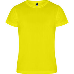 Спортивная рубашка из полиэстера цена и информация | Мужские футболки | kaup24.ee