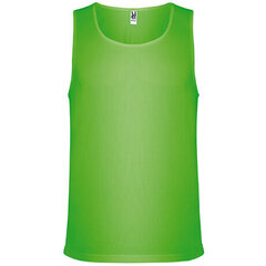 Mikroperforeeritud kangast T-särk, roheline hind ja info | Meeste T-särgid | kaup24.ee