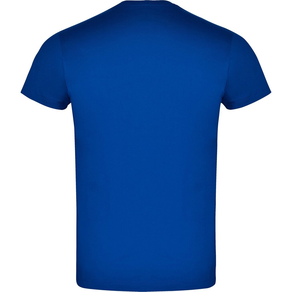 Topeltkraega T-särk, sinine hind ja info | Meeste T-särgid | kaup24.ee