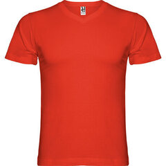 V-kaelusega T-särk, punane hind ja info | Meeste T-särgid | kaup24.ee