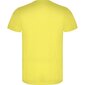 Lühikeste varrukatega T-särk, kollane hind ja info | Meeste T-särgid | kaup24.ee