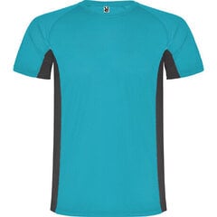 T-särk 2 polüesterkangast kombineeritud, sinine/hallikas hind ja info | Meeste T-särgid | kaup24.ee