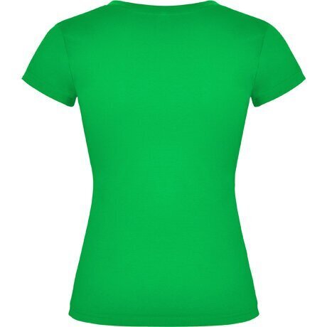 Naiste V-kaelusega T-särk, roheline hind ja info | Naiste T-särgid | kaup24.ee