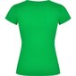 Naiste V-kaelusega T-särk, roheline hind ja info | Naiste T-särgid | kaup24.ee