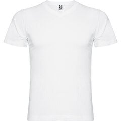    цена и информация | Мужские футболки | kaup24.ee