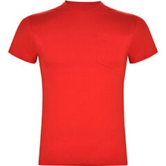 4-kordne kraega T-särk, punane hind ja info | Meeste T-särgid | kaup24.ee