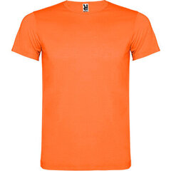Lühikeste varrukatega T-särk, oranž hind ja info | Poiste särgid | kaup24.ee