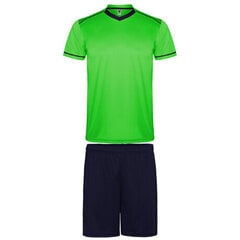 Spordikomplekt - T-särk ja lühikesed püksid, roheline/sinine hind ja info | Meeste spordiriided | kaup24.ee