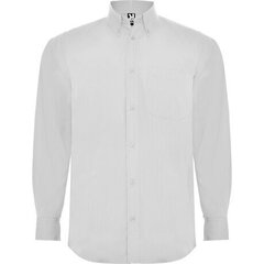 Классическая рубашка цена и информация | Мужские рубашки | kaup24.ee