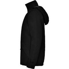 Куртка женская, черное цена и информация | Женские куртки | kaup24.ee