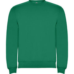 Pikkade varrukatega džemper, roheline hind ja info | Meeste kampsunid | kaup24.ee