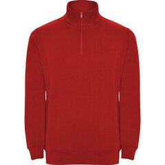 Punane tõmblukuga džemper, punane hind ja info | Meeste kampsunid | kaup24.ee