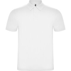 Рубашка-поло с коротким рукавом цена и информация | Мужские футболки | kaup24.ee
