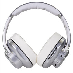 EVOLVEO Supreme Sound 8EQ 2in1, Bluetooth наушники  со встроенным динамиком и эквалайзером. Серебряный цвет цена и информация | Наушники | kaup24.ee