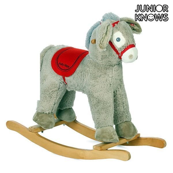 Kiikeesel Junior Knows hind ja info | Imikute mänguasjad | kaup24.ee