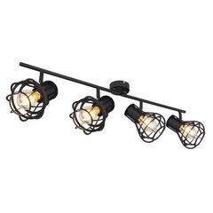 Потолочный светильник Globo Lighting CLASTRA 15388-4 цена и информация | Потолочные светильники | kaup24.ee