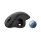 Logitech Ergo M575, hall hind ja info | Hiired | kaup24.ee