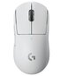 Logitech G Pro X SuperLight White (valge) цена и информация | Hiired | kaup24.ee