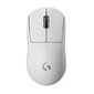 Logitech G Pro X SuperLight White (valge) hind ja info | Hiired | kaup24.ee