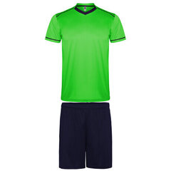 Spordikomplekt - T-särk ja lühikesed püksid, roheline/sinine hind ja info | Komplektid poistele | kaup24.ee