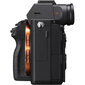 Sony täiskaader hübriidkaamera a7RM4A kere, must ILCE-7RM4AB : ILCE7RM4AB.CEC hind ja info | Fotoaparaadid | kaup24.ee