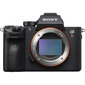 Sony täiskaader hübriidkaamera a7RM4A kere, must ILCE-7RM4AB : ILCE7RM4AB.CEC hind ja info | Fotoaparaadid | kaup24.ee