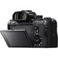 Kaamera Sony A7R Mark III A korpus hind ja info | Fotoaparaadid | kaup24.ee