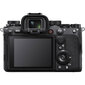 Sony Alpha 1 Body (ILCE-1/B) цена и информация | Fotoaparaadid | kaup24.ee