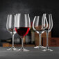 Nachtmann Vivino Burgundy veiniklaas , 4 tk hind ja info | Klaasid, tassid ja kannud | kaup24.ee