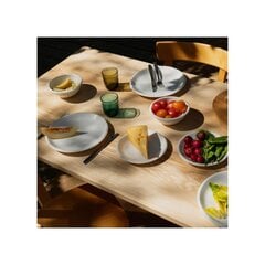 Миска Iittala Raami, 17 см цена и информация | Посуда, тарелки, обеденные сервизы | kaup24.ee