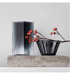 Iittala kauss Aalto, 75mm, hall цена и информация | Посуда, тарелки, обеденные сервизы | kaup24.ee