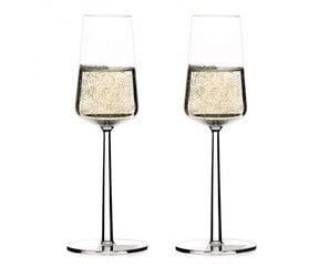 Бокал для шампанского Iittala Essence, 2 шт. цена и информация | Стаканы, фужеры, кувшины | kaup24.ee