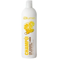 TAHE Urban Blumin ingveri ja sidruni šampoon 1000ml hind ja info | Šampoonid | kaup24.ee