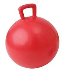 Võimlemispall käepidemega 55cm, punane hind ja info | Võimlemispallid | kaup24.ee