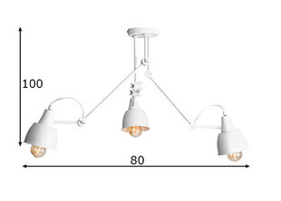 Потолочный светильник Aida, белый цена и информация | Люстры | kaup24.ee