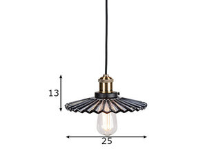 Потолочный светильник Cobbler, дымчатый цена и информация | Люстры | kaup24.ee