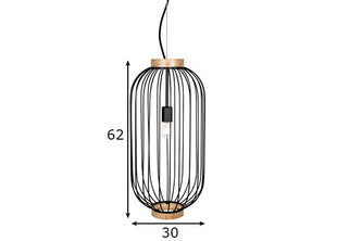 Подвесной светильник Globen Lighting цена и информация | Потолочный светильник, 38 x 38 x 24 см | kaup24.ee