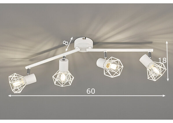 Laelamp Ran, valge hind ja info | Laelambid | kaup24.ee