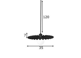 Потолочный светильник Omega, черный цена и информация | Потолочный светильник, 38 x 38 x 24 см | kaup24.ee