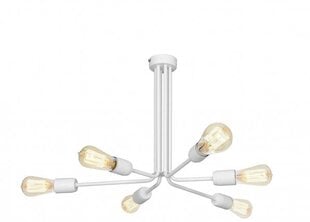 Потолочный светильник Ezop, белый цена и информация | Потолочные светильники | kaup24.ee