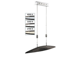 Потолочный светильник Colmar LED цена и информация | Потолочные светильники | kaup24.ee