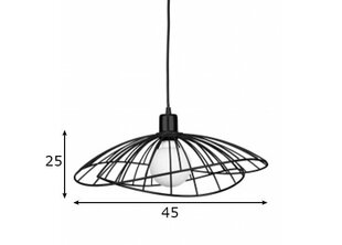 Globen Lighting Подвесной светильник Ray цена и информация | Потолочный светильник, 38 x 38 x 24 см | kaup24.ee