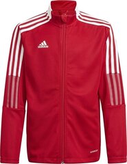 Laste dressipluus Adidas Tiro 21, 152 cm, punane hind ja info | Poiste kampsunid, vestid ja jakid | kaup24.ee
